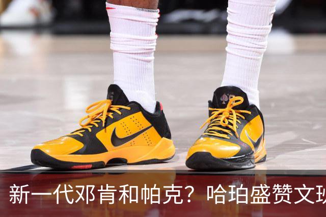 新一代邓肯和帕克？哈珀盛赞文班：方方面面，他都是最出色的领袖
