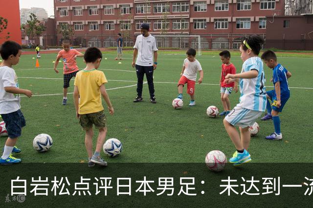 白岩松点评日本男足：未达到一流强队标准，仍需克服对荷兰的恐惧