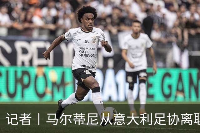 记者丨马尔蒂尼从意大利足协离职的内幕