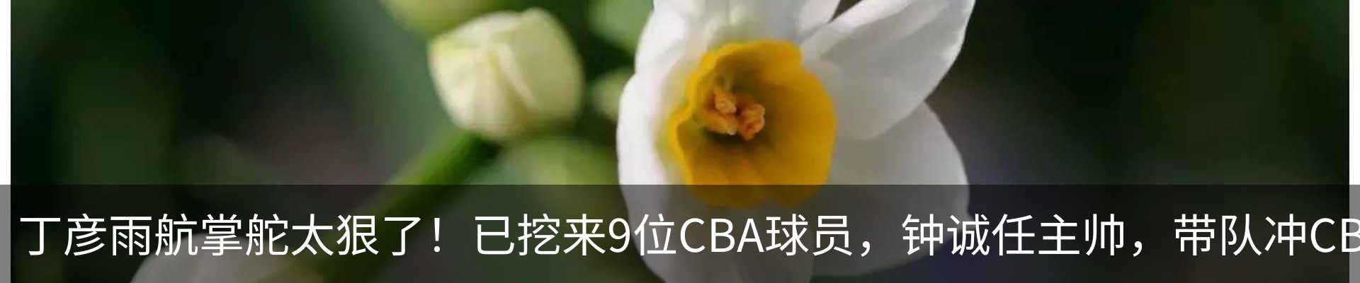 行业资讯