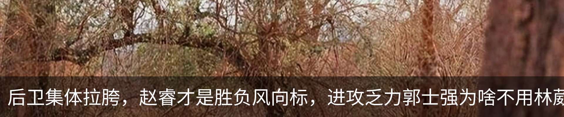 行业资讯