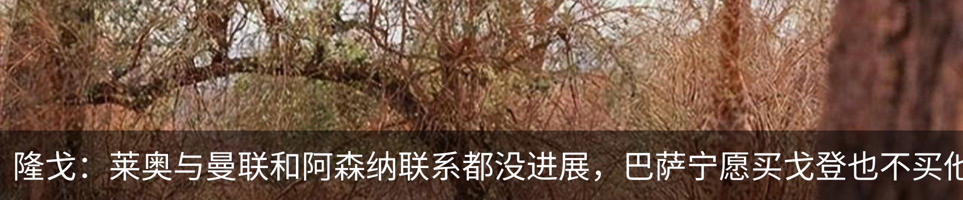 行业资讯
